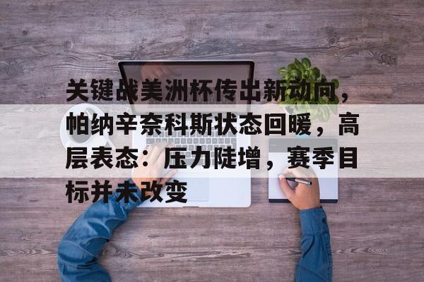 开云app下载-关键战美洲杯传出新动向,帕纳辛奈科斯状态回暖,高层表态:压力陡增,赛季目标并未改变的简单介绍